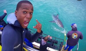 excited young south african shark cage diving
