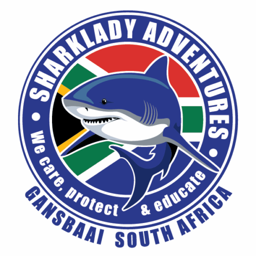 sharklady adventures logo