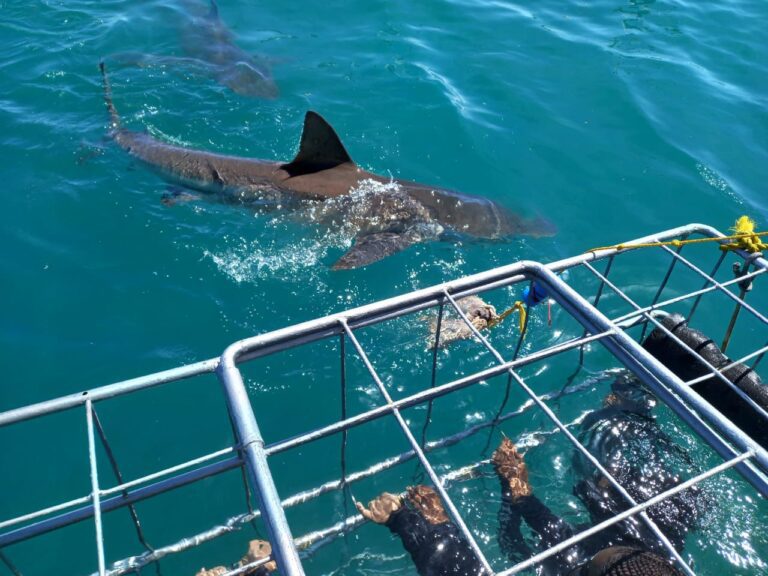 Your Trip 2 IMG-20250918-WA0010