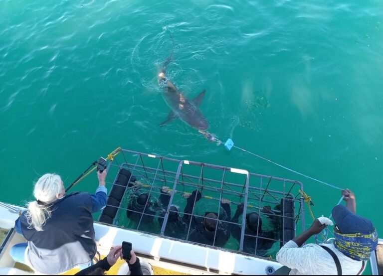 Your Trip 5 IMG-20250918-WA0019