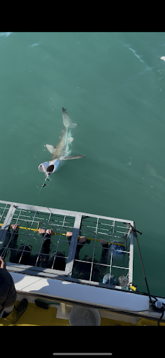 Photo from customer review