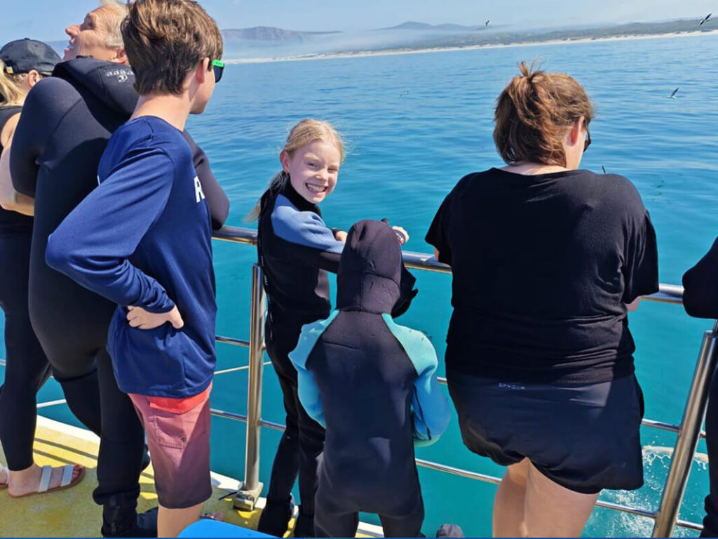 Family friendly shark diving in Gansbaai