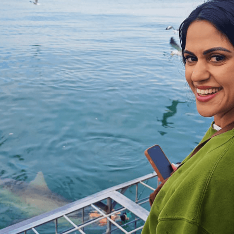 Book your Gansbaai shark cage dive with Sharklady Adventures