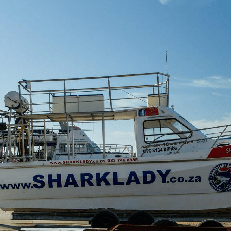 Sharklady Adventures boat 1