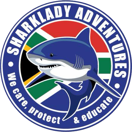 Sharklady Adventures transparent Sharklady Adventures