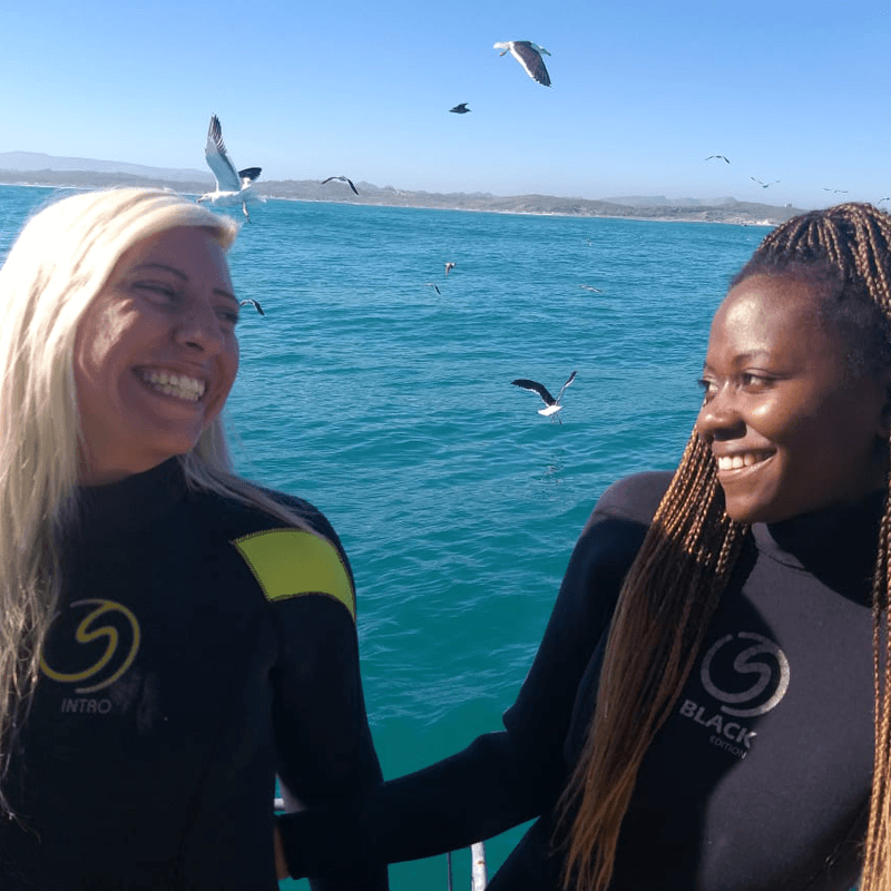 Tourists getting ready to cage dive with sharks