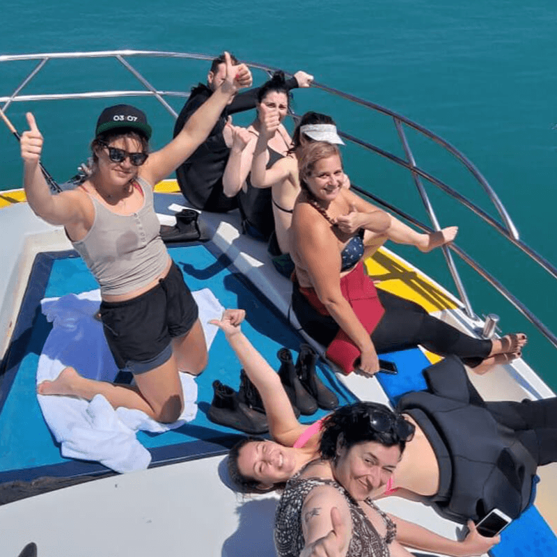 a day on a shark cage diving boat