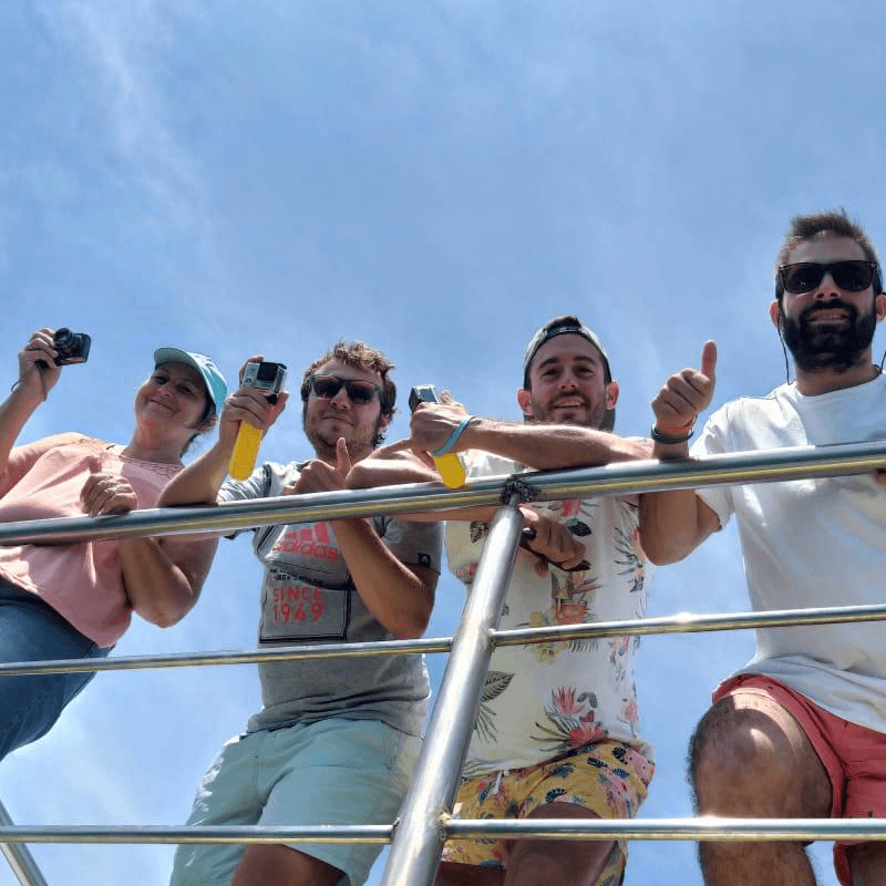 boat based shark viewing in Gansbaai