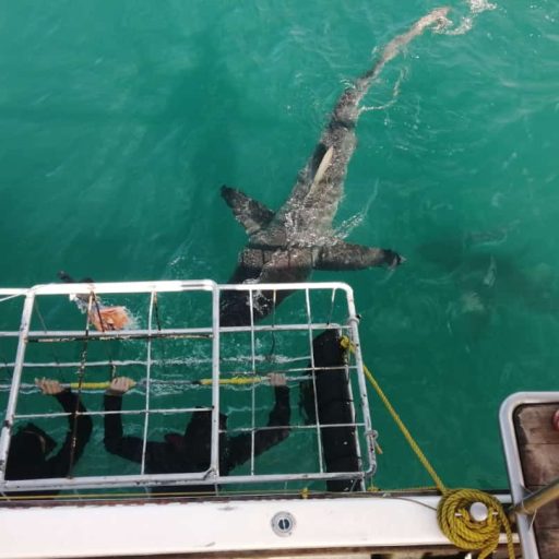 HOME 3 f03904ea-60b1-4b22-8127-36d4d2ba585a